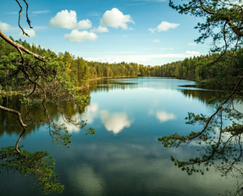 See narahari k r r0aq9pYIadI unsplash
