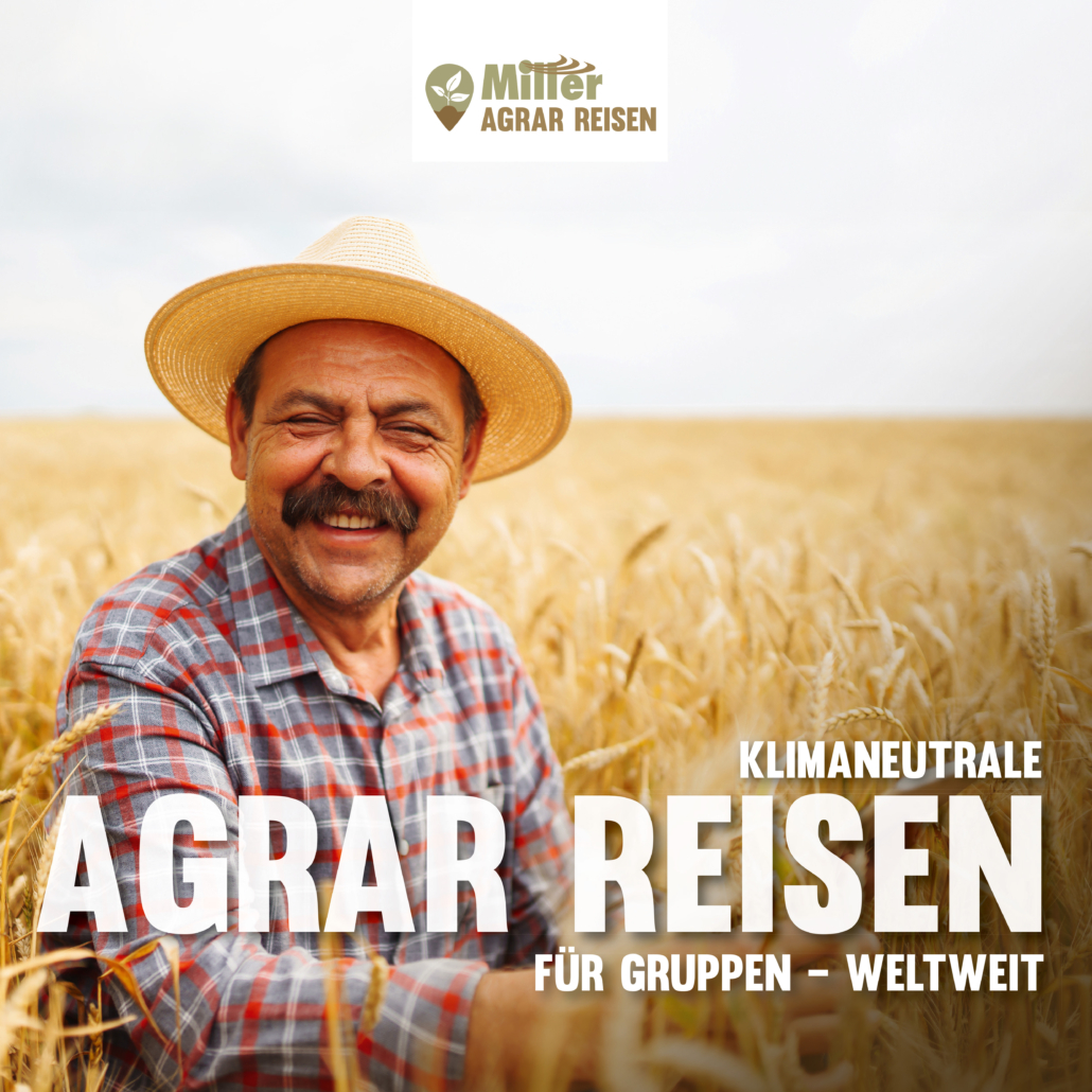 Kalender - Produkte